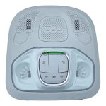 Fiat 500X Interior Roof Courtesy Light 07356109400 Genuine 2016