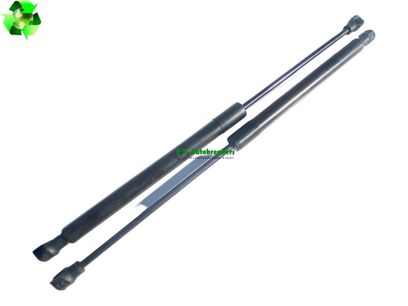 Dacia sandero tailgate gas strut 904529943r pair genuine 2016