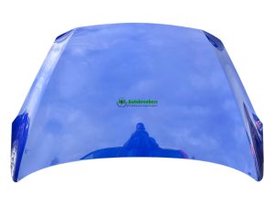 Ford Fiesta Bonnet Hood PH1BB-A16610-AH Genuine 2018