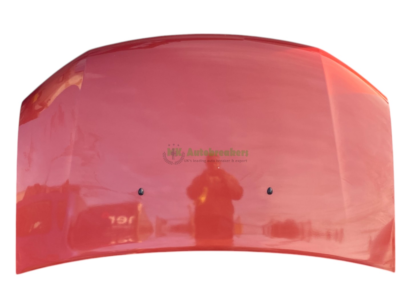 Dacia Sandero Bonnet Hood 651001918R Genuine 2017