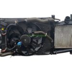 Dacia Sandero Radiator Rad Pack 214818009R Genuine 2017