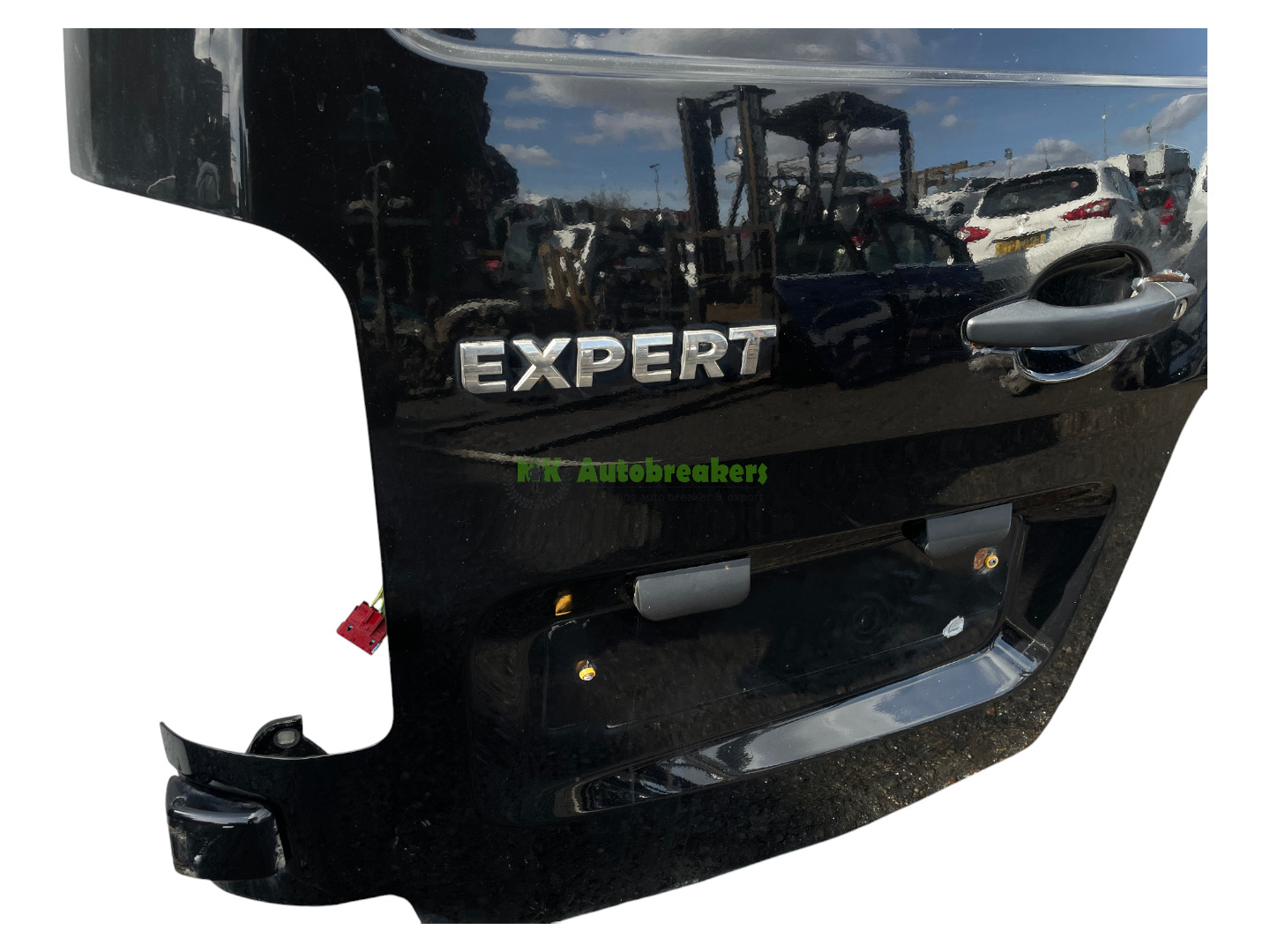 Peugeot Expert Rear Van Door Left Genuine 2017