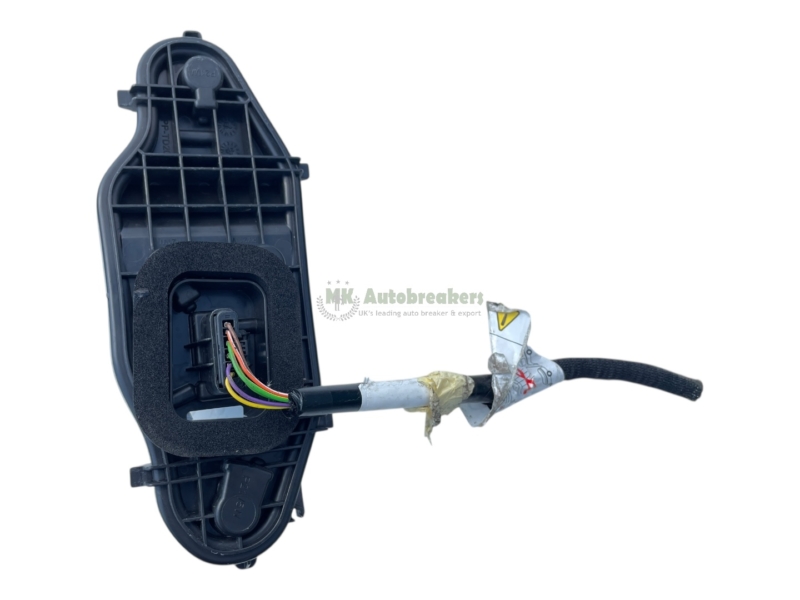 Combo Berlingo Partner Bulb Holder 41018017 Right Genuine 2019
