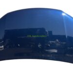 Dacia Sandero Bonnet Hood 651001918R Genuine 2017