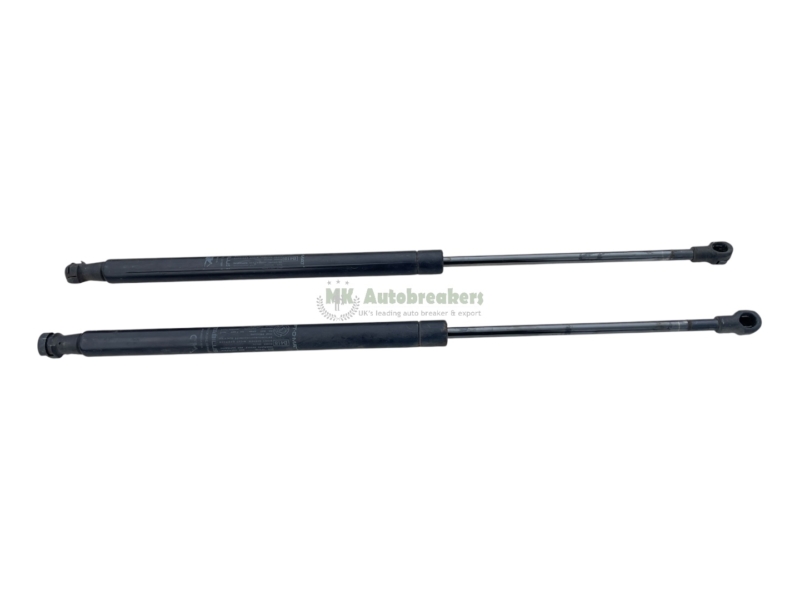 Fiat 500 Tailgate Boot Gas Struts 51785412 Genuine 2012