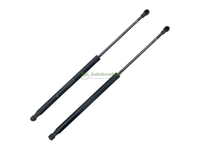 Fiat 500 Tailgate Boot Gas Struts 51785412 Genuine 2012