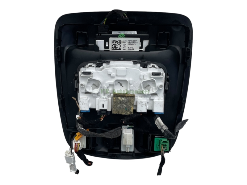 Peugeot 308 Front Interior Light 98215349ZD Genuine 2018