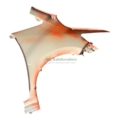 Honda Jazz Fender Wing 60261-T5R-A90ZZ Front Left YR-585 Genuine 2019