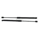 Hyundai I Tailgate Gas Struts c Pair Genuine