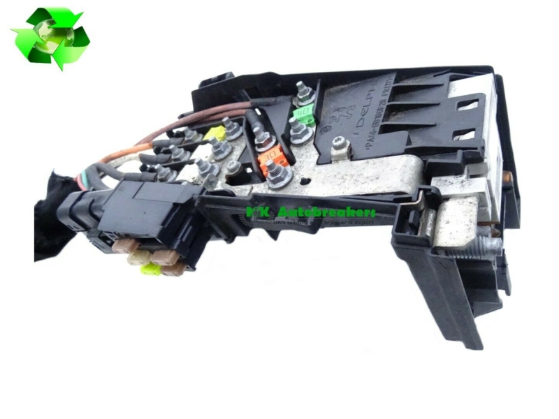 Peugeot 5008 Positive Battery Fuse 9666527580 Genuine 2014